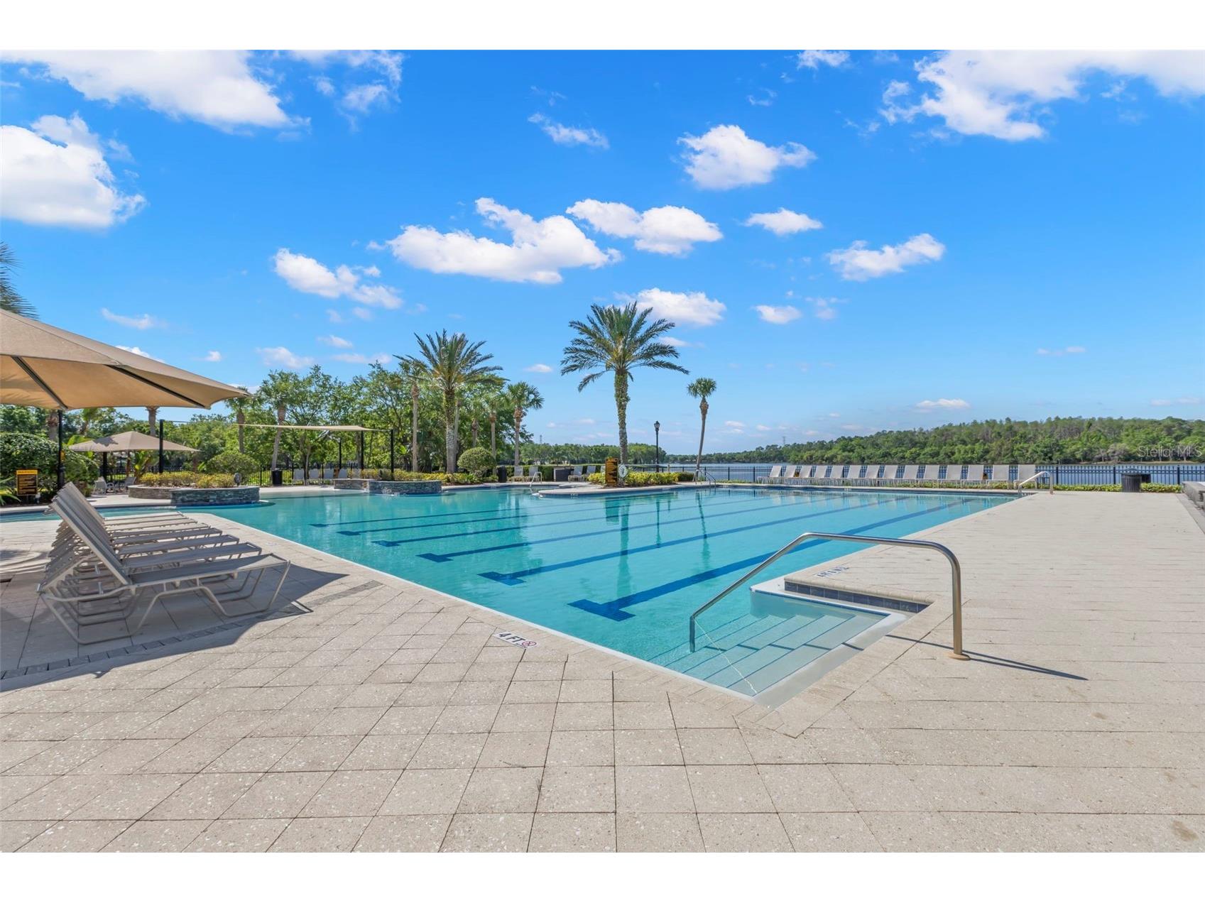 11732 Casa Lago Lane Tampa FL 33626 TB8499047 image63