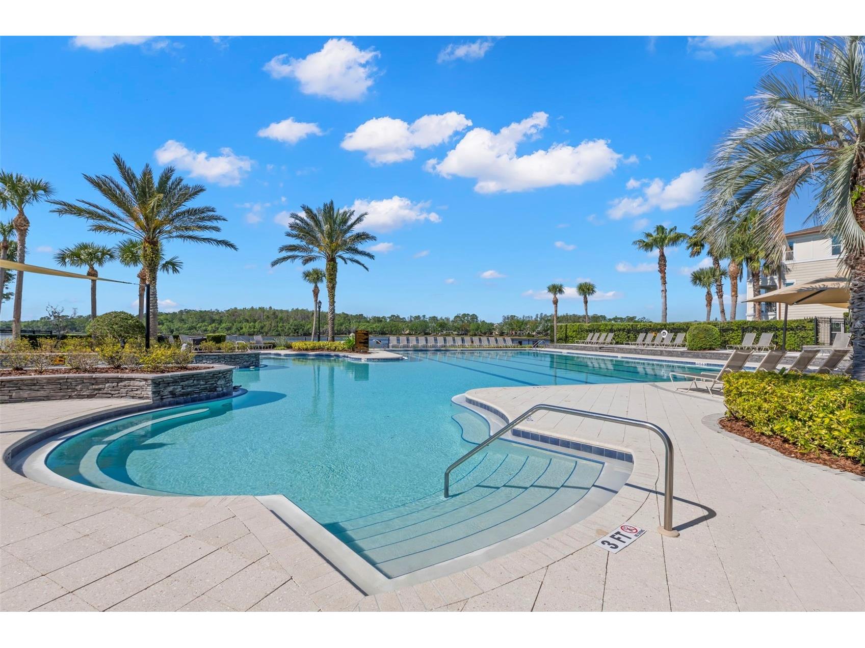 11732 Casa Lago Lane Tampa FL 33626 TB8499047 image65