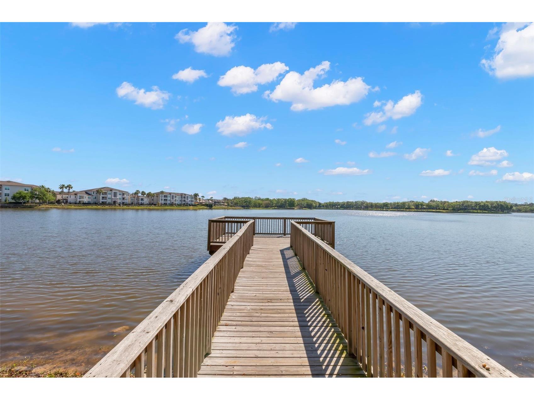 11732 Casa Lago Lane Tampa FL 33626 TB8499047 image66