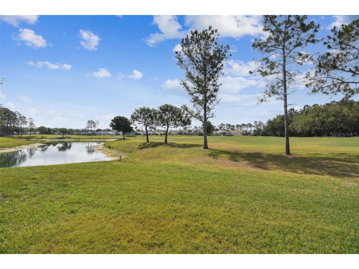 11732 Wheatfield Loop Hudson FL 34667 W7874757 image42