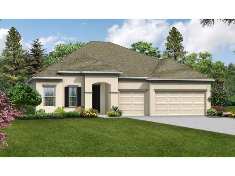 11733 June Briar Loop San Antonio FL 33576 J972801 image1