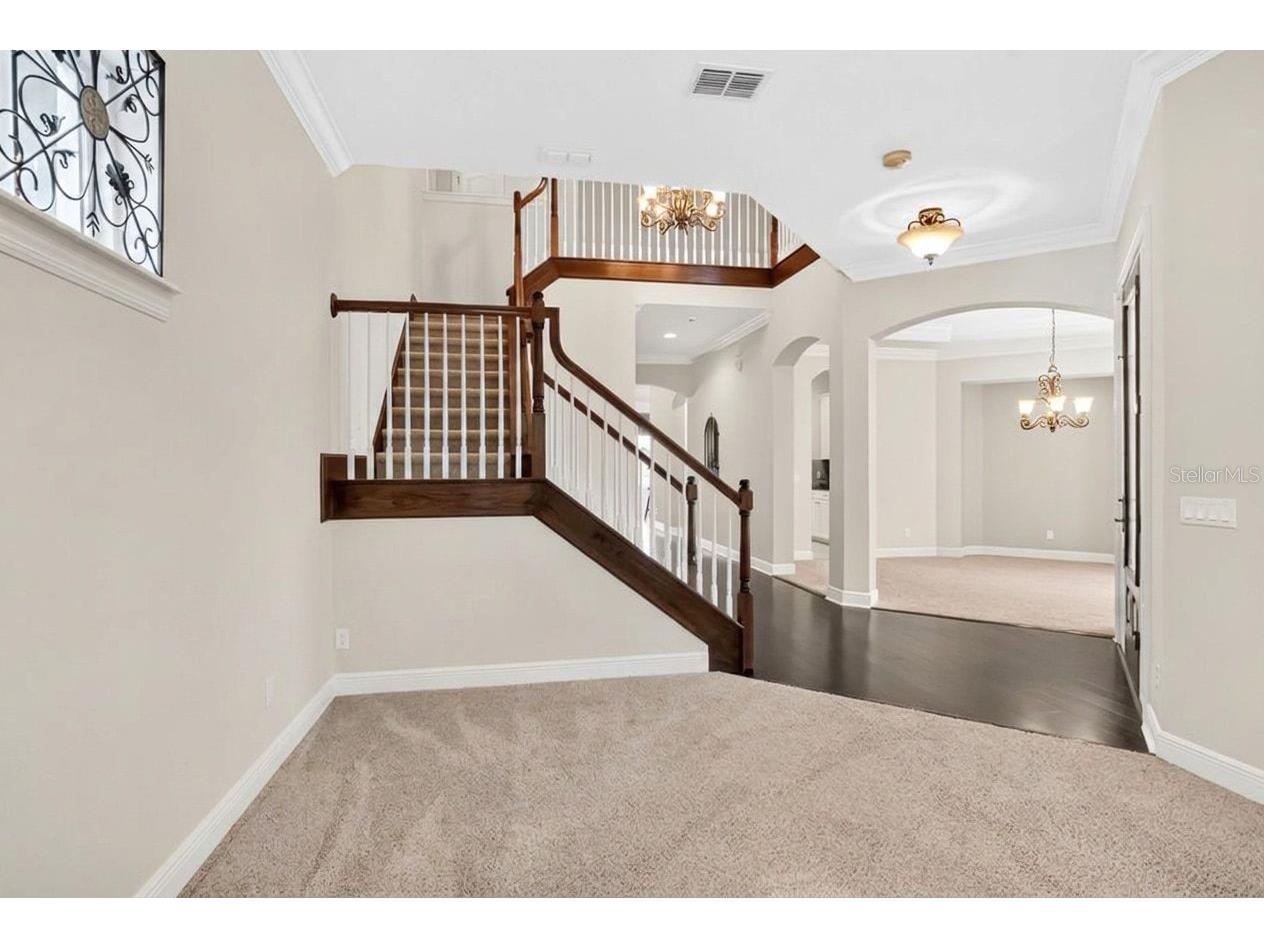 11734 Aldendale Street Orlando FL 32836 O6415686 image10