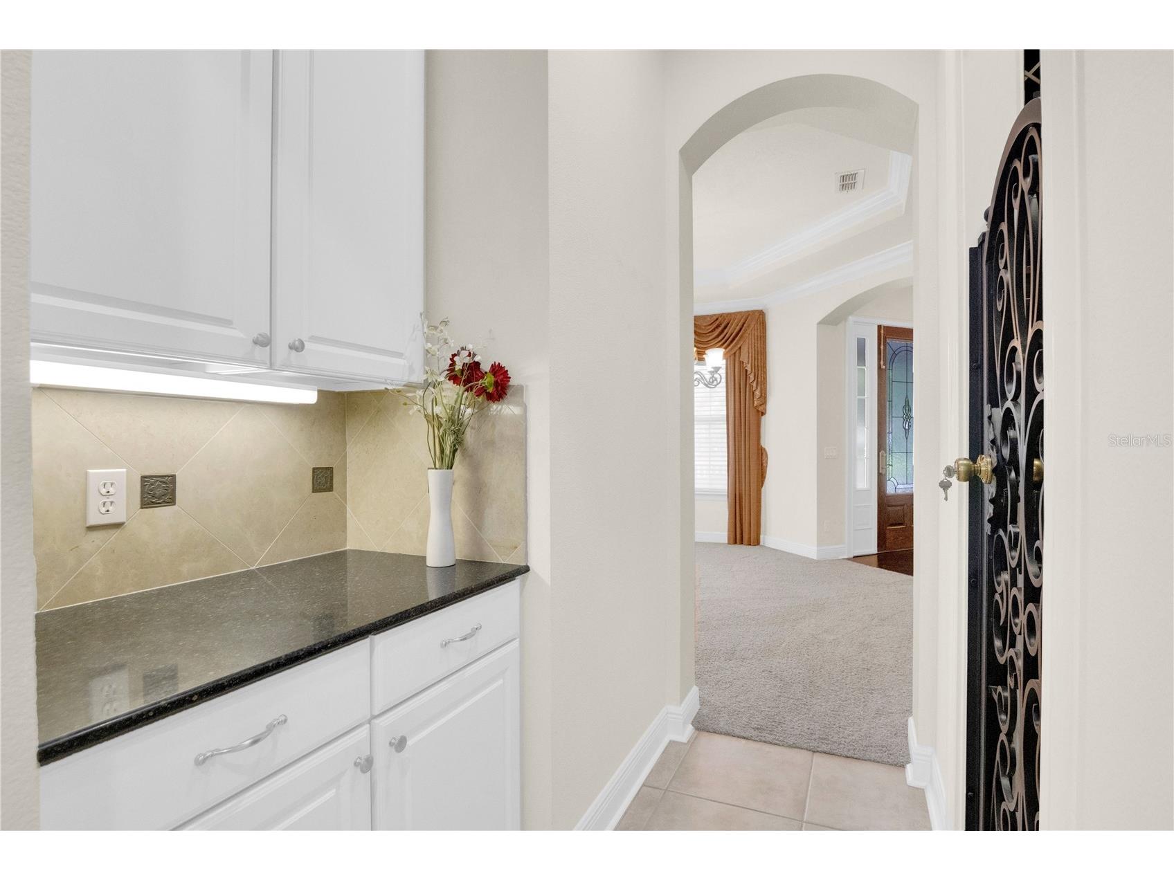 11734 Aldendale Street Orlando FL 32836 O6415686 image12