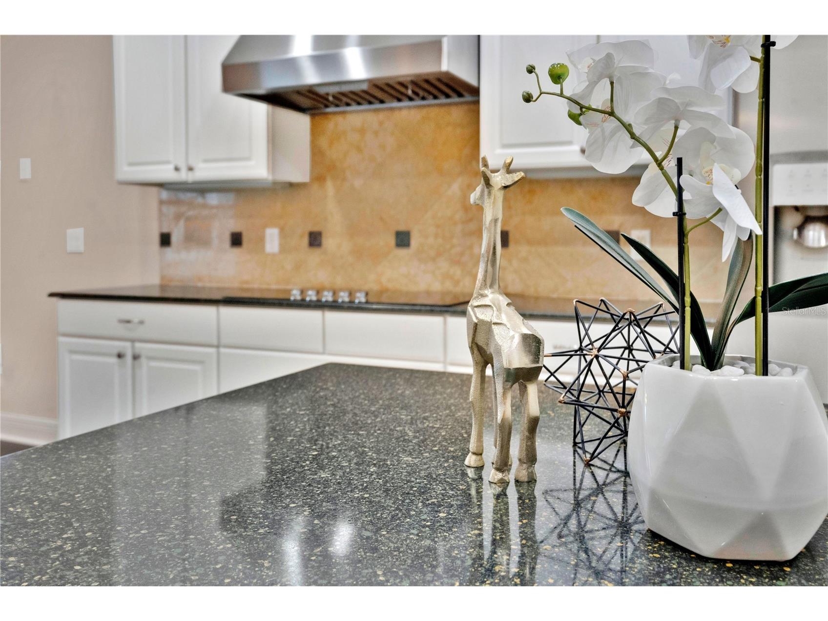 11734 Aldendale Street Orlando FL 32836 O6415686 image16