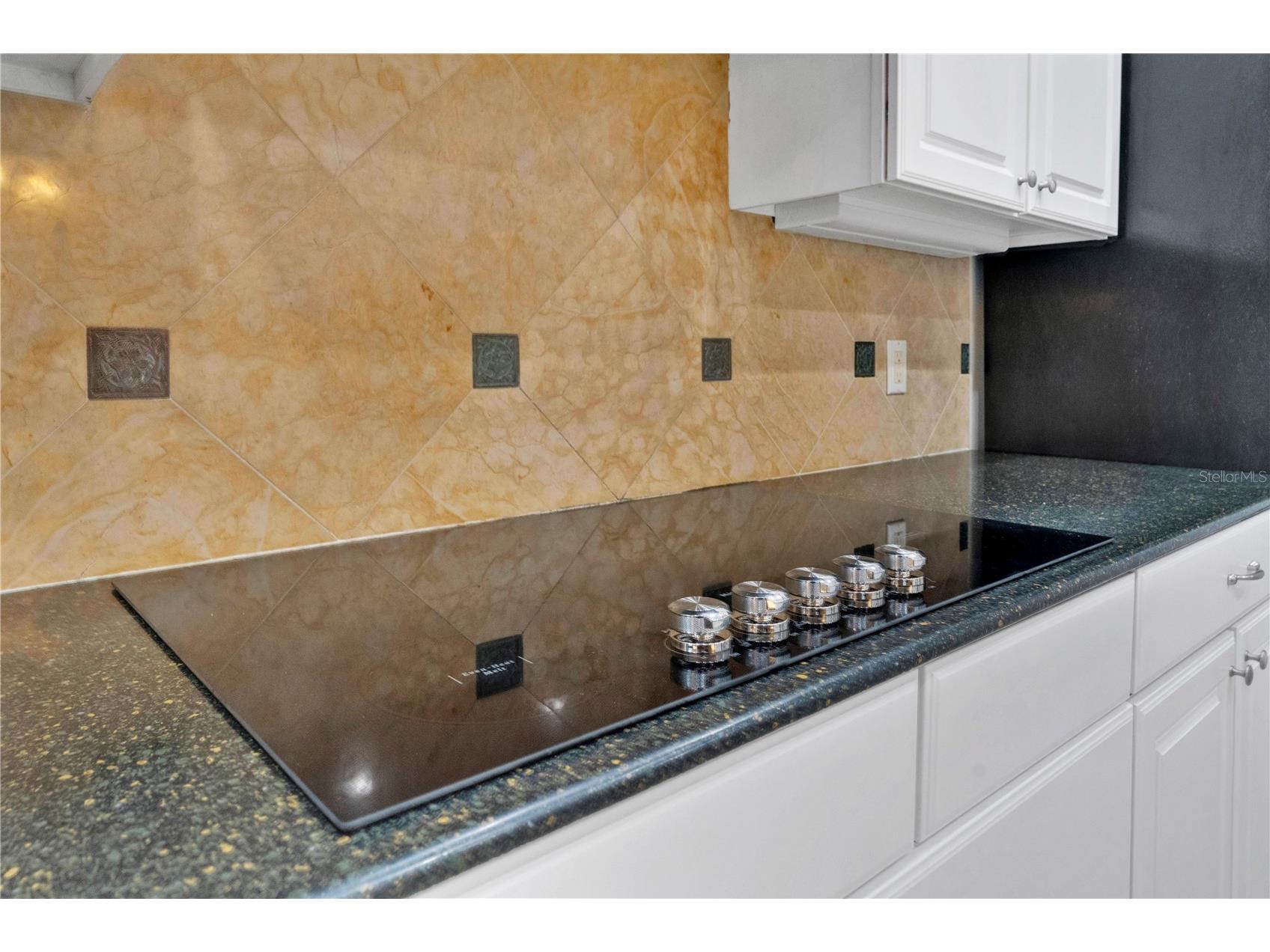 11734 Aldendale Street Orlando FL 32836 O6415686 image17