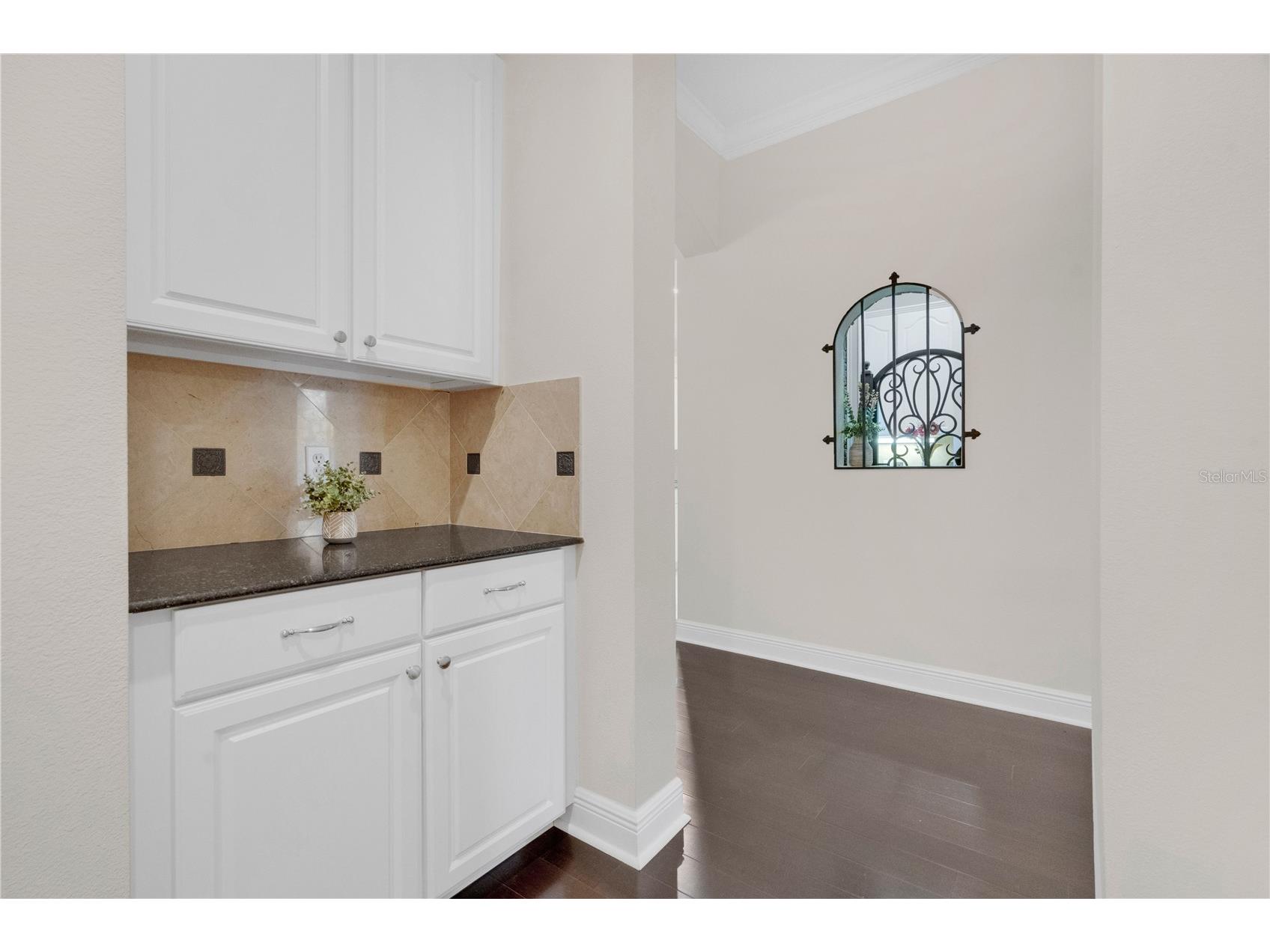 11734 Aldendale Street Orlando FL 32836 O6415686 image38