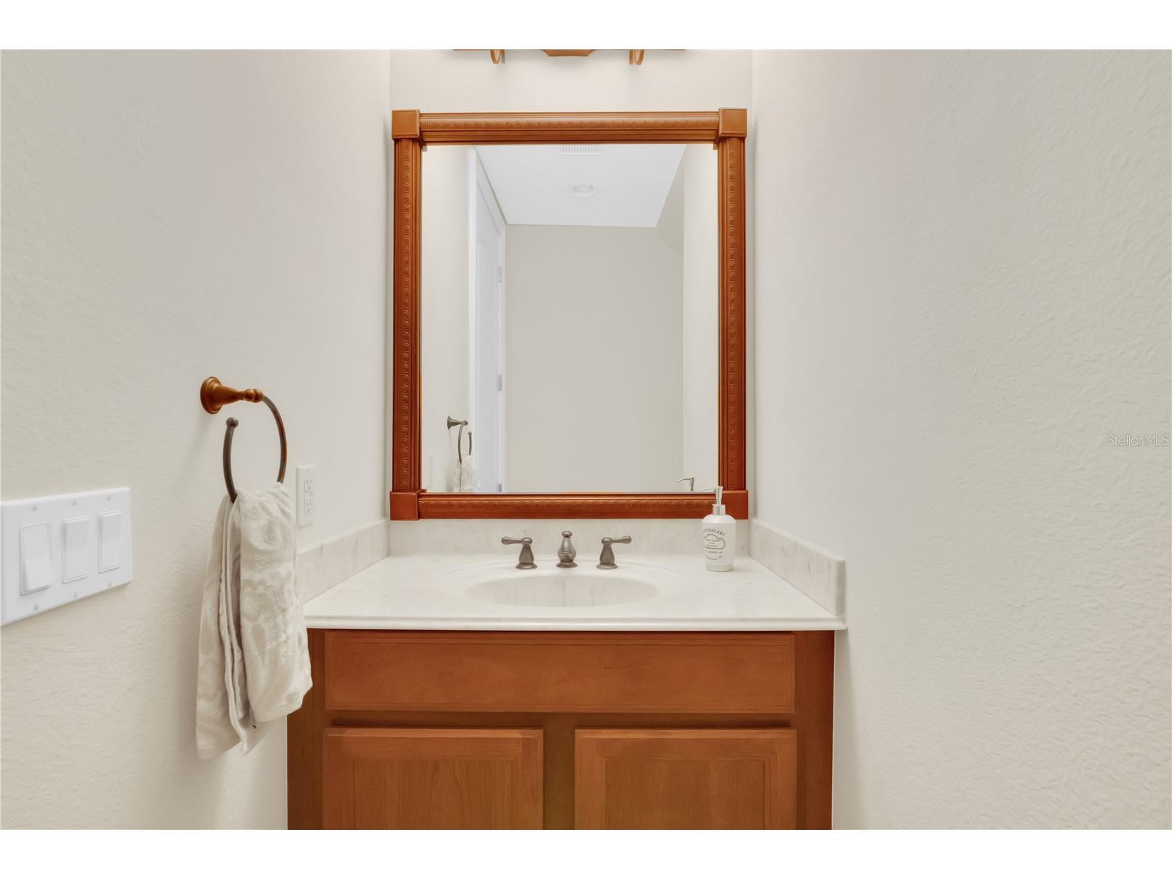11734 Aldendale Street Orlando FL 32836 O6415686 image39