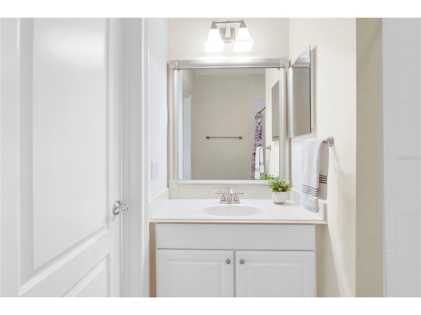 11734 Aldendale Street Orlando FL 32836 O6415686 image49