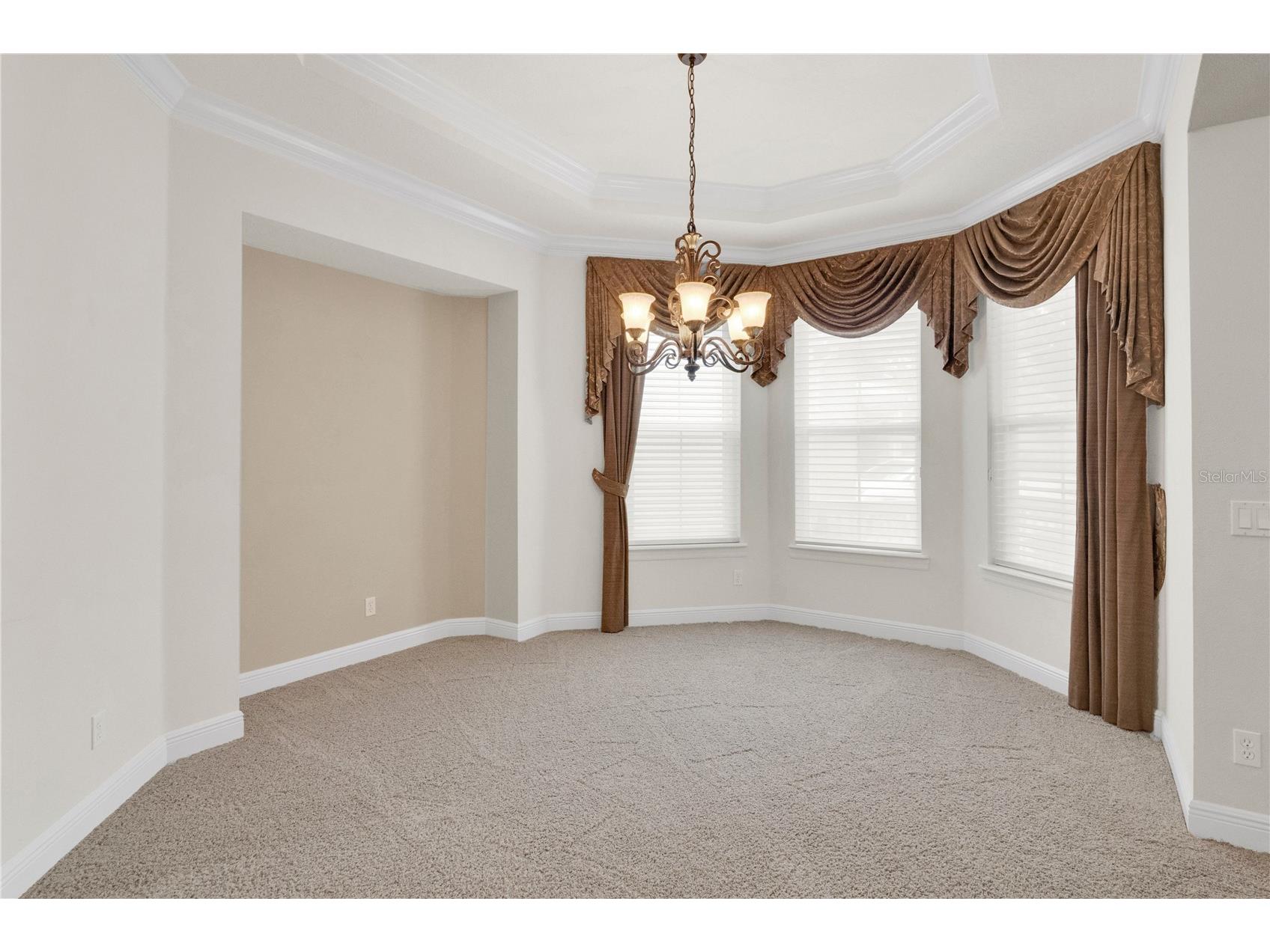 11734 Aldendale Street Orlando FL 32836 O6415686 image8