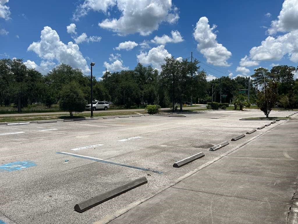 11734 Jefferson Road Thonotosassa FL 33592 - TAMPA BYPASS CANAL TB8520562 image34