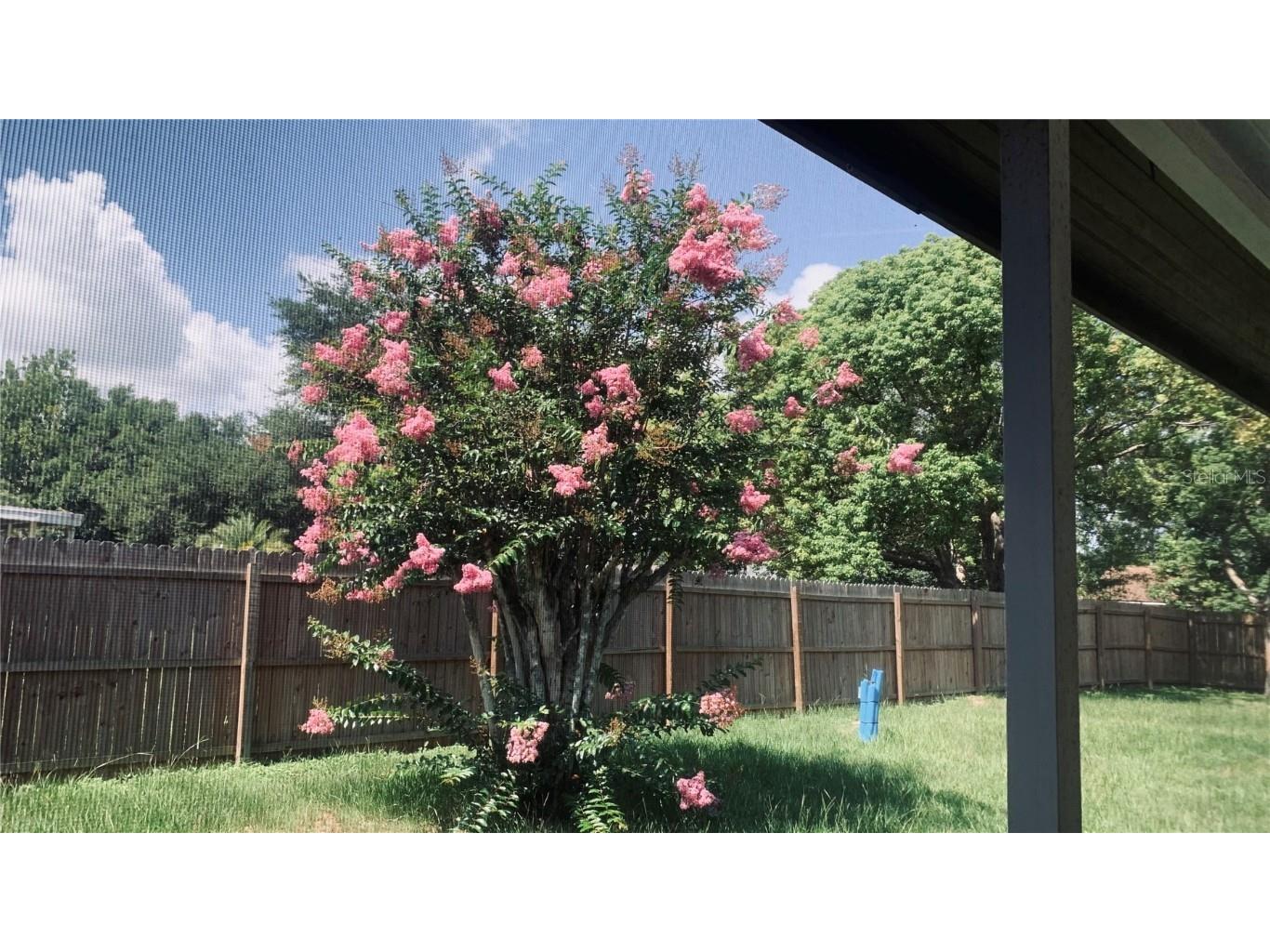 11734 Oswalt Road Clermont FL 34711 S5139253 image5