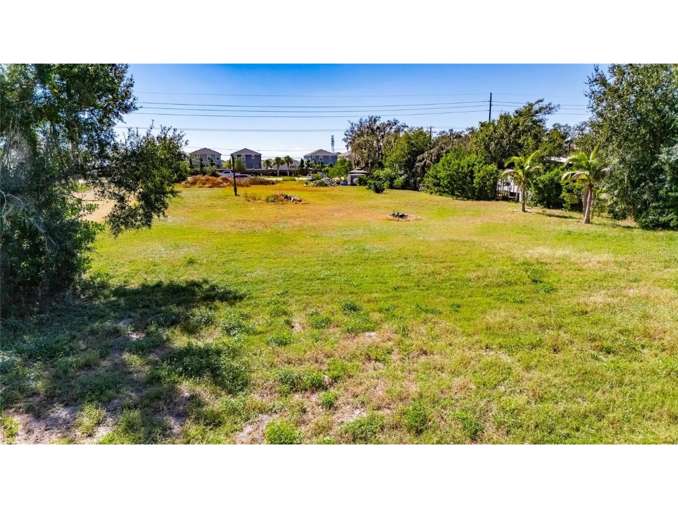 11734 Rhodine Road Riverview FL 33579 TB8441569 image4