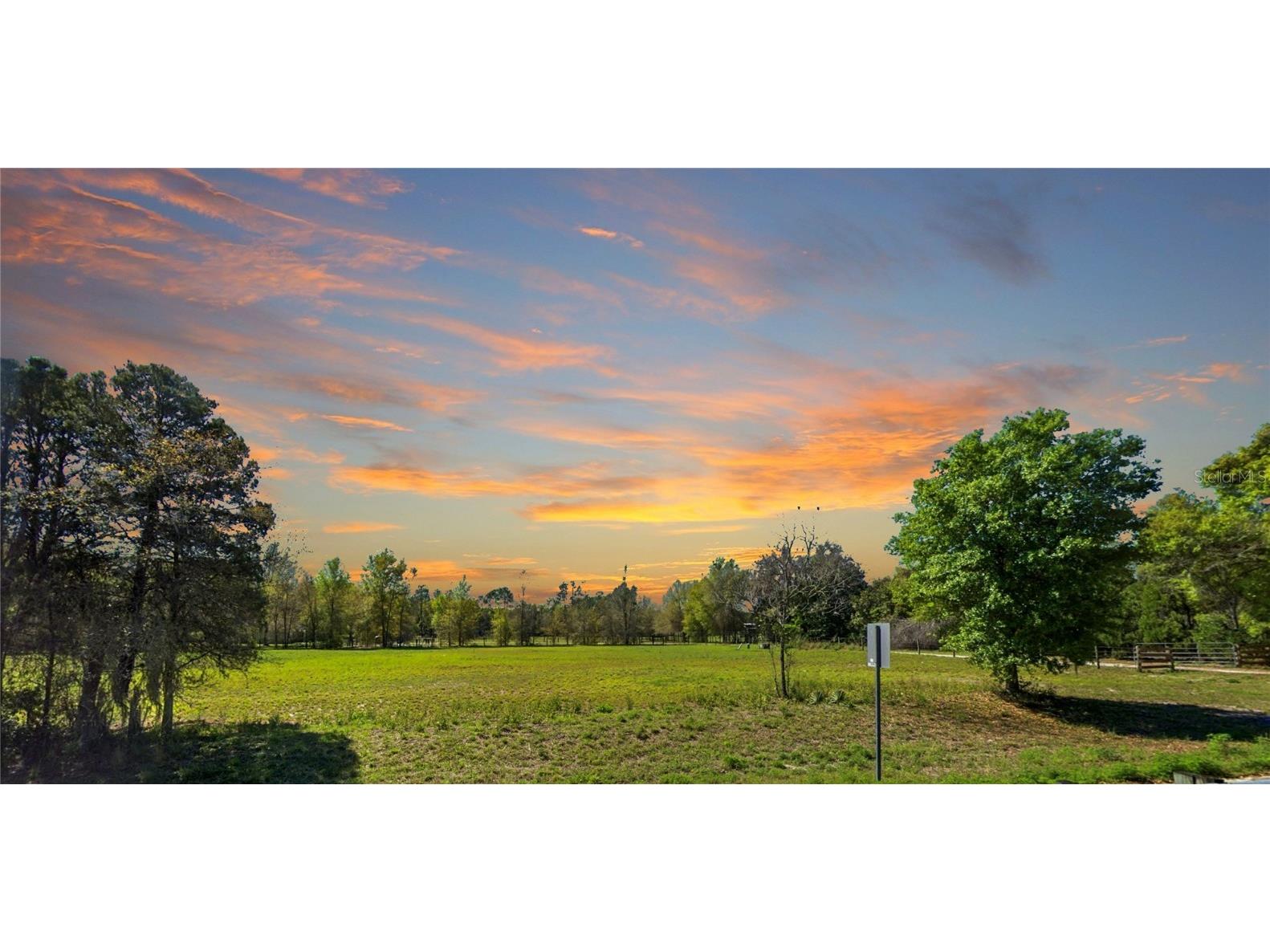 11735 Knights Griffin Road Thonotosassa FL 33592 T3367081 image1