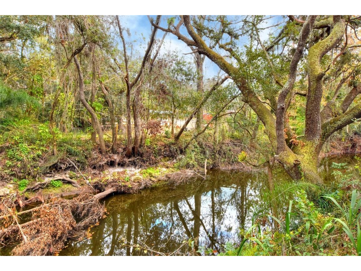 11735 Knights Griffin Road Thonotosassa FL 33592 TB8343422 image10