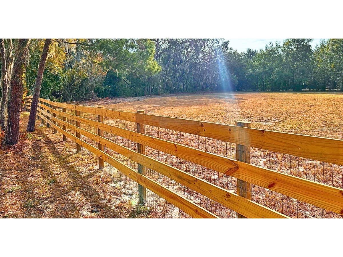 11735 Knights Griffin Road Thonotosassa FL 33592 TB8343422 image15