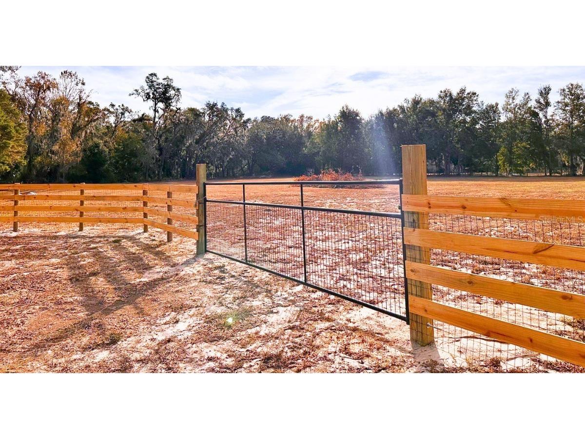 11735 Knights Griffin Road Thonotosassa FL 33592 TB8343422 image2