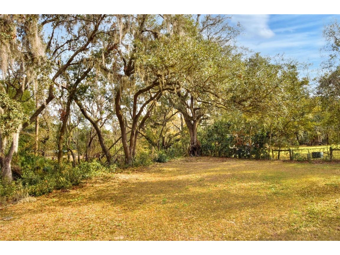 11735 Knights Griffin Road Thonotosassa FL 33592 TB8343422 image3