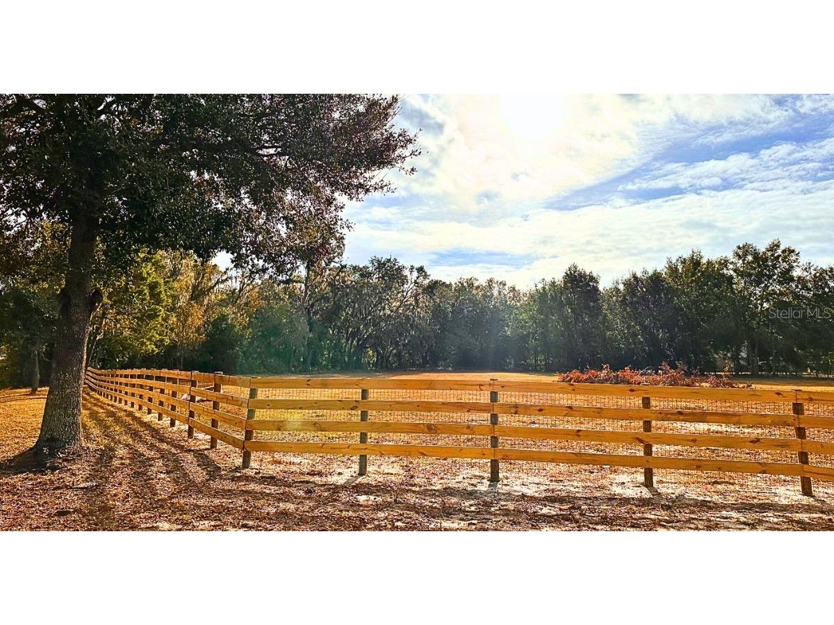 11735 Knights Griffin Road Thonotosassa FL 33592 TB8343422 image4