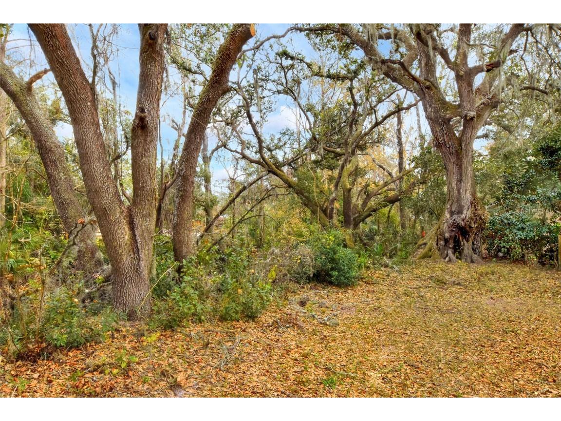 11735 Knights Griffin Road Thonotosassa FL 33592 TB8343422 image5