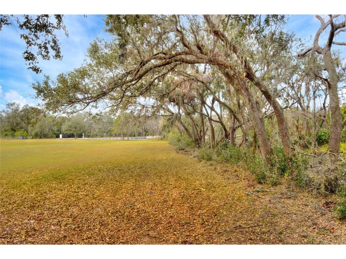 11735 Knights Griffin Road Thonotosassa FL 33592 TB8343422 image6