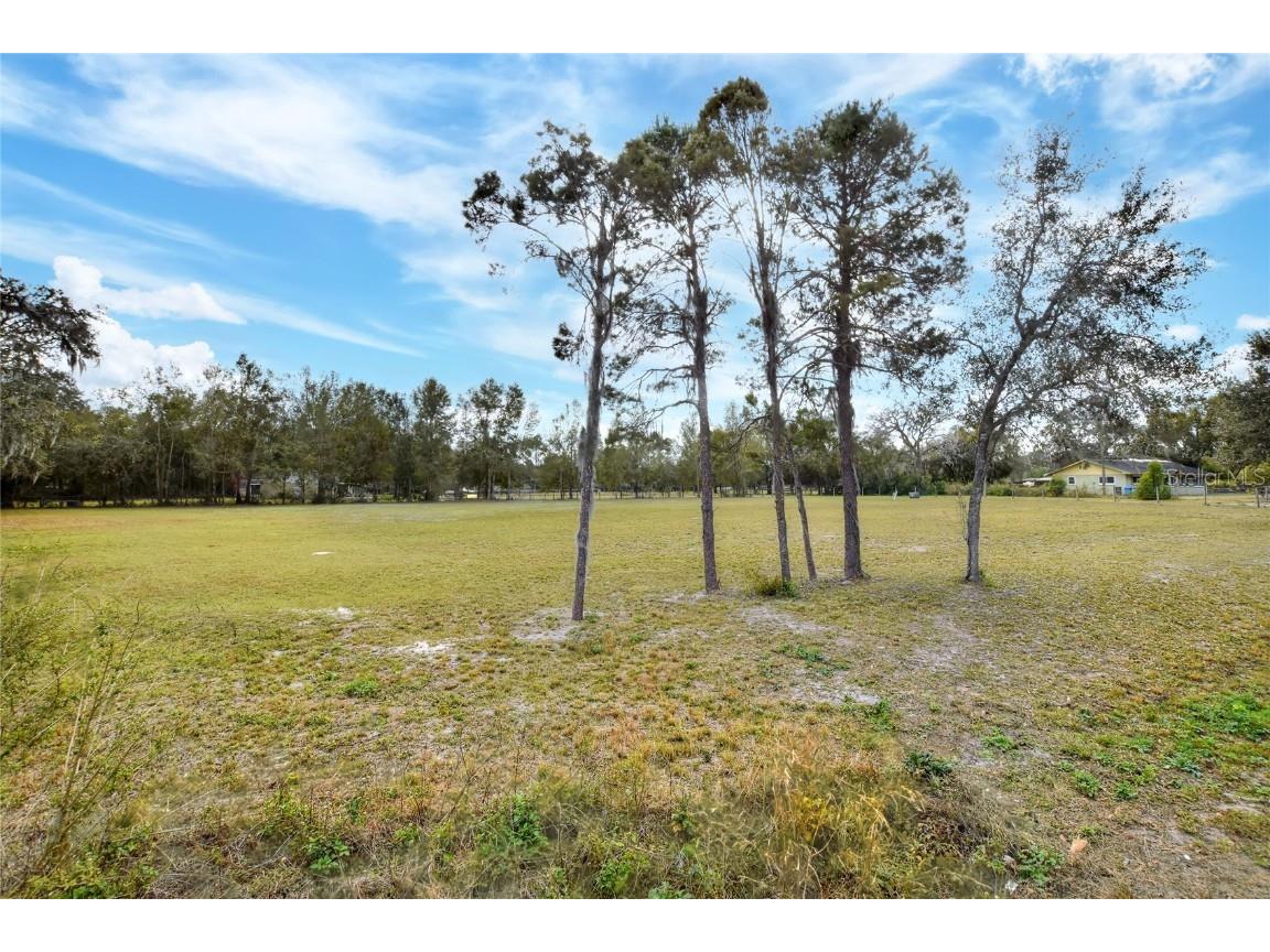 11735 Knights Griffin Road Thonotosassa FL 33592 TB8343422 image7
