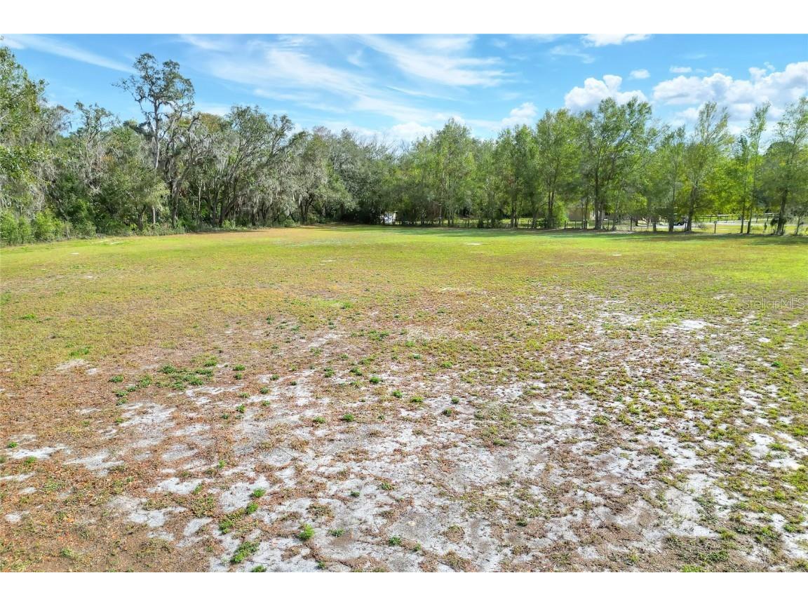 11735 Knights Griffin Road Thonotosassa FL 33592 TB8343422 image8