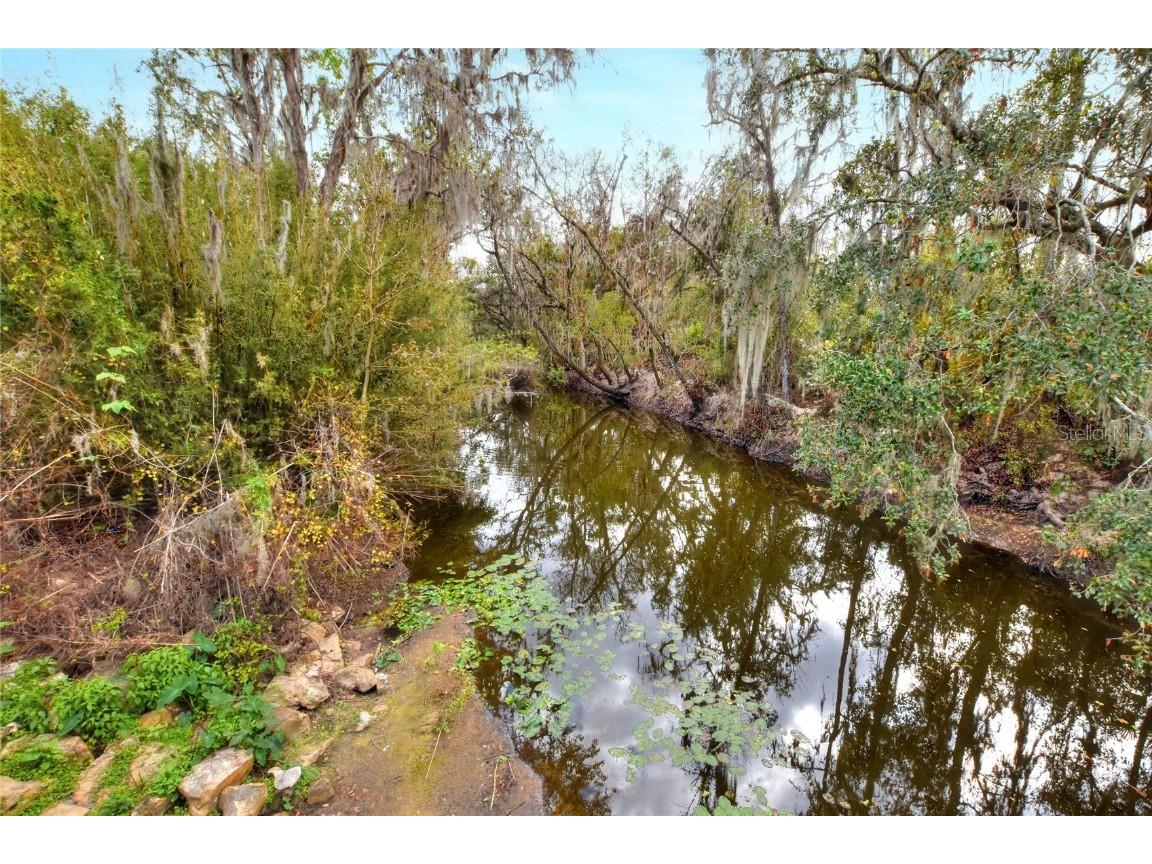 11735 Knights Griffin Road Thonotosassa FL 33592 TB8343422 image9