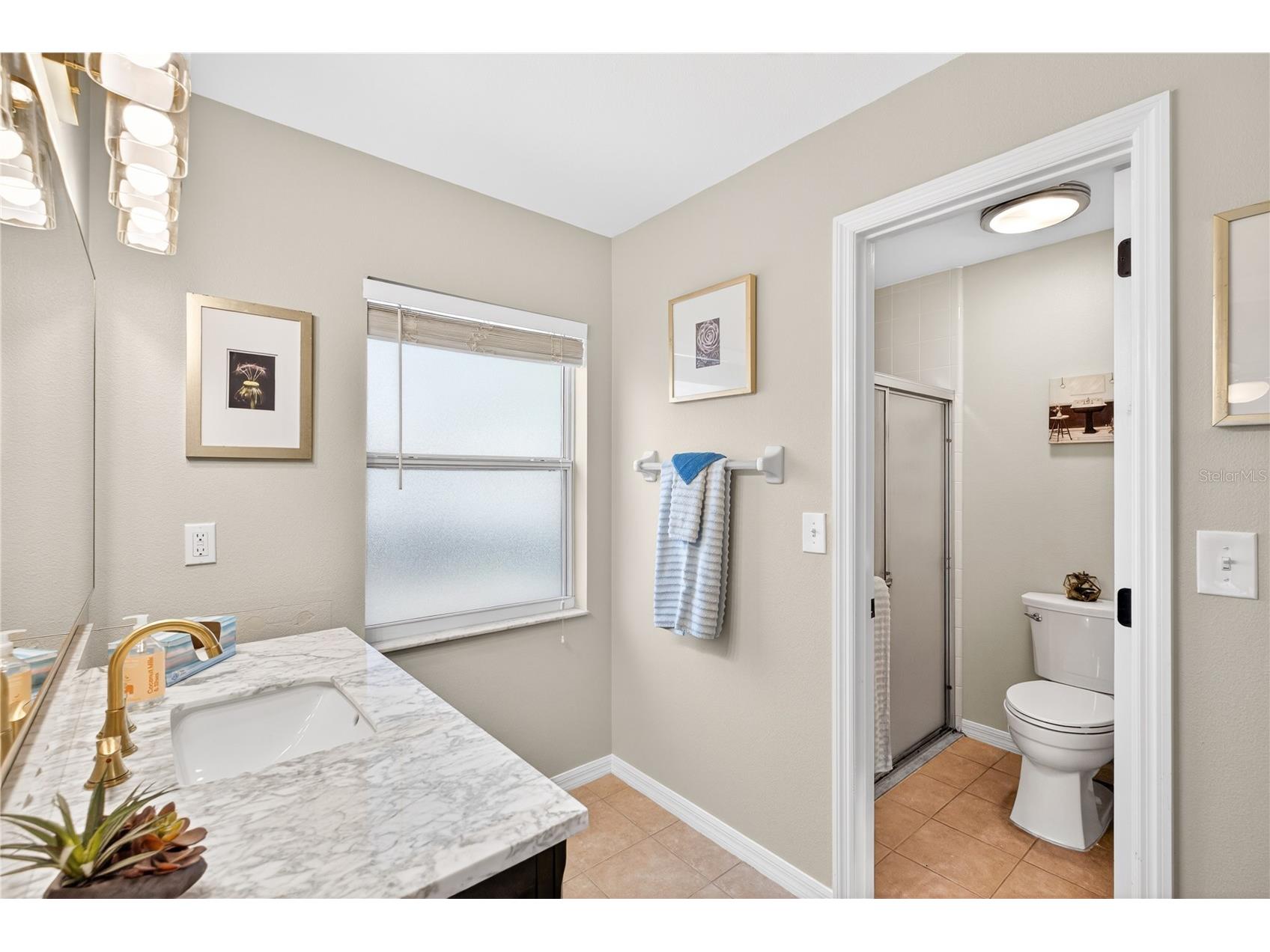 11736 Chapelle Court Clermont FL 34711 O6399310 image21