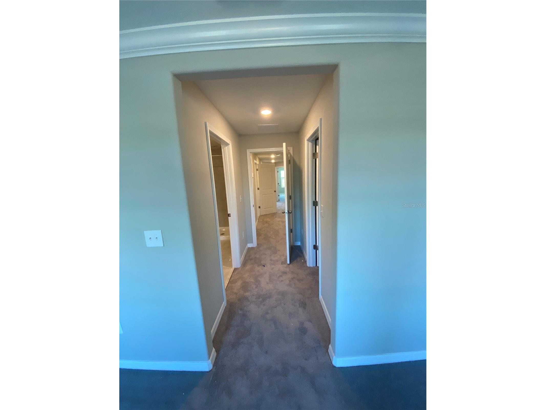 11736 Dumaine Valley Road Riverview FL 33579 TB8515809 image21