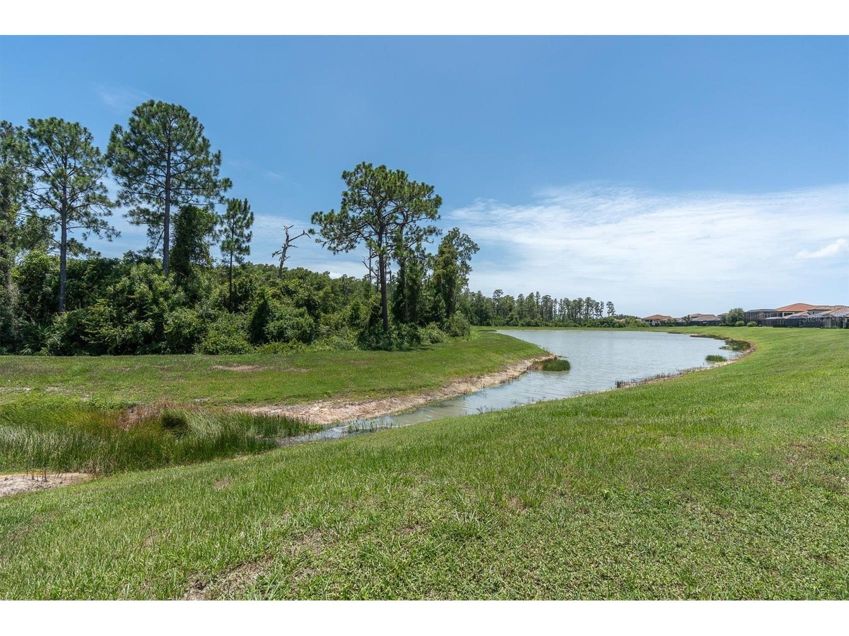 11736 Ranchers Gap Drive Odessa FL 33556 W7887644 image55