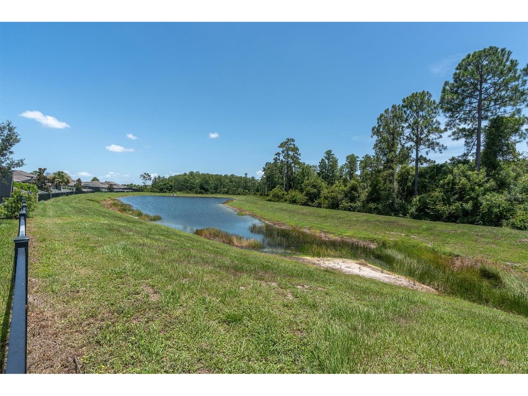 11736 Ranchers Gap Drive Odessa FL 33556 W7887644 image56