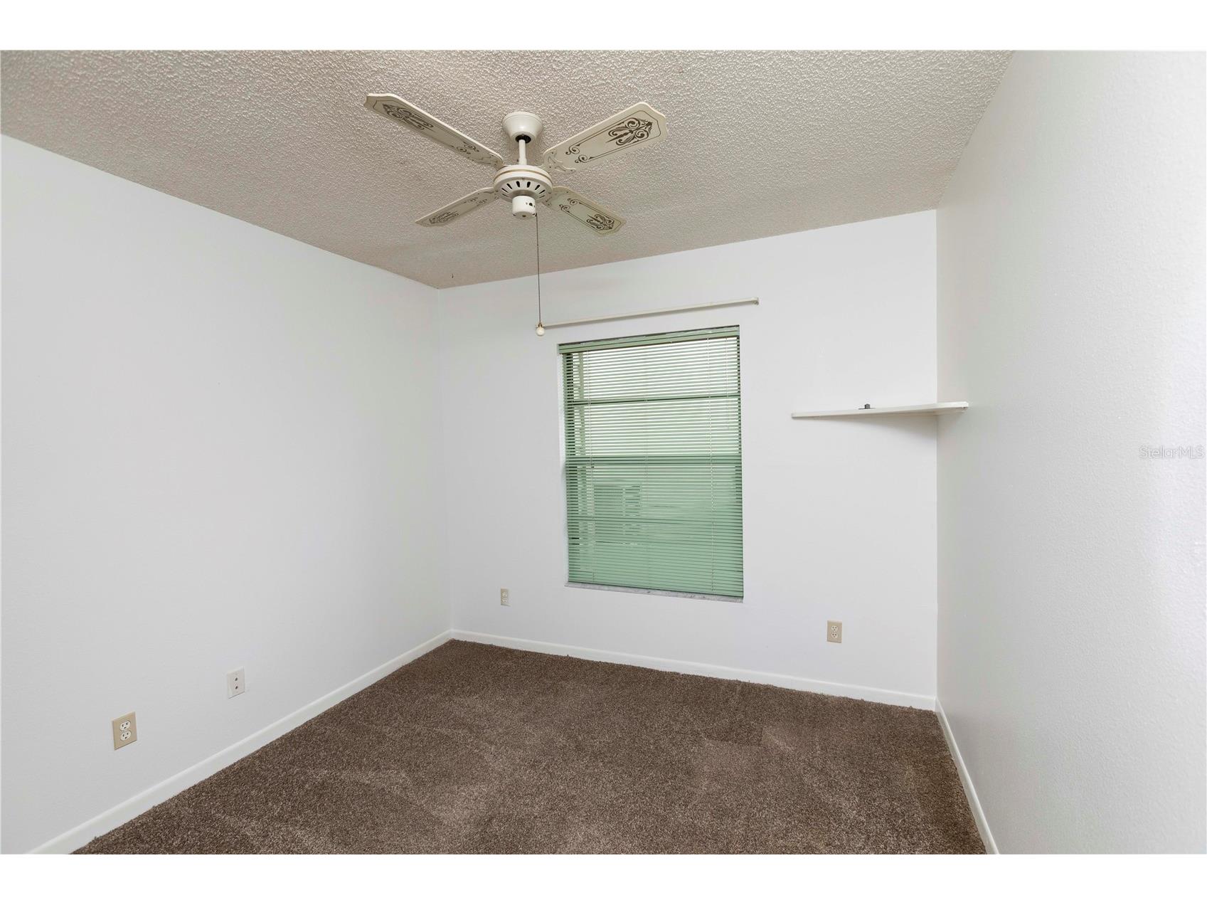 11736 Rolling Pine Lane Port Richey FL 34668 TB8495959 image5