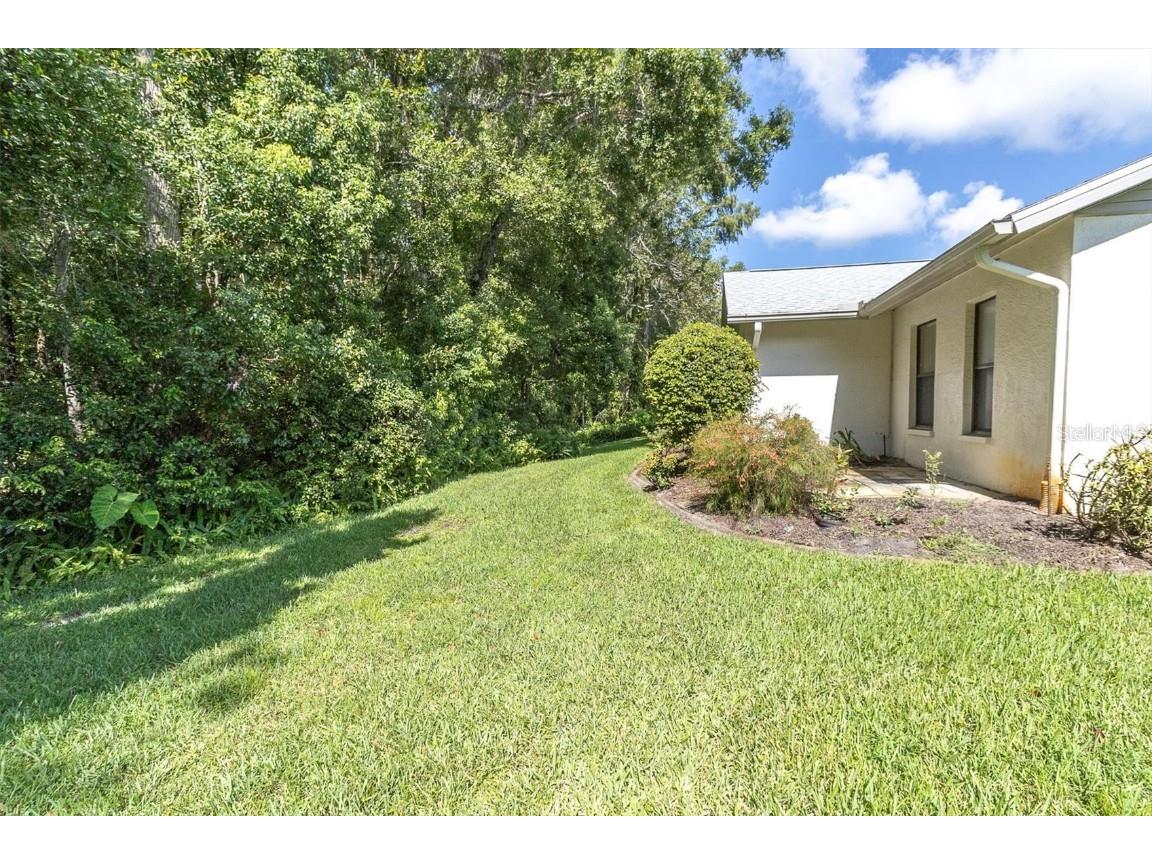 11736 White Ash Drive New Port Richey FL 34654 W7878322 image21