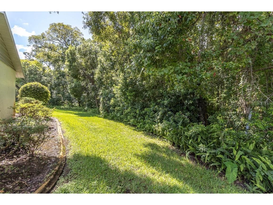 11736 White Ash Drive New Port Richey FL 34654 W7878322 image23