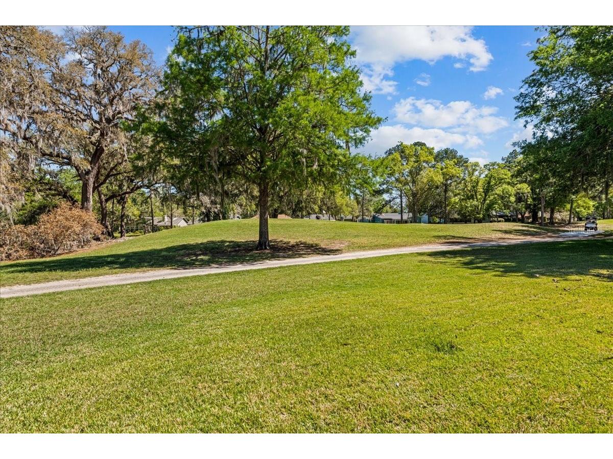 11737 Creek Drive Alachua FL 32615 GC538037 image31