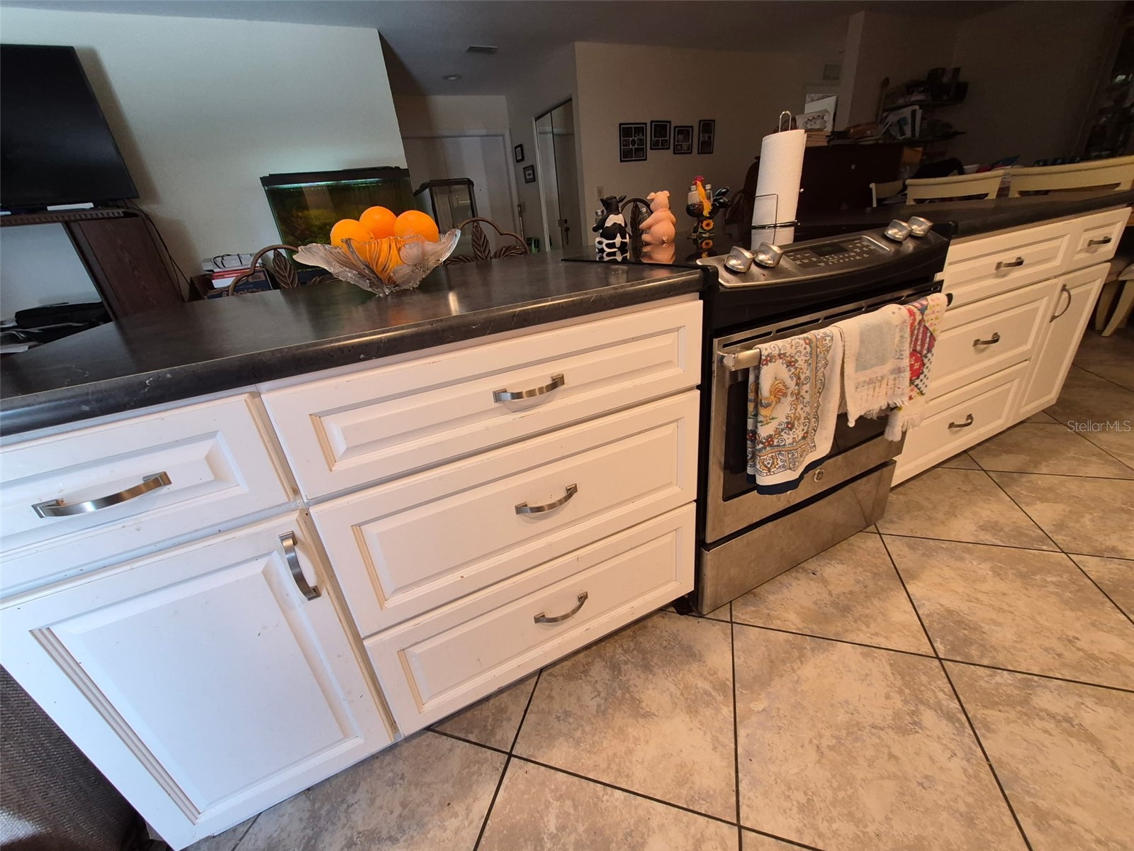 11738 96th Place Seminole FL 33772 TB8495631 image10