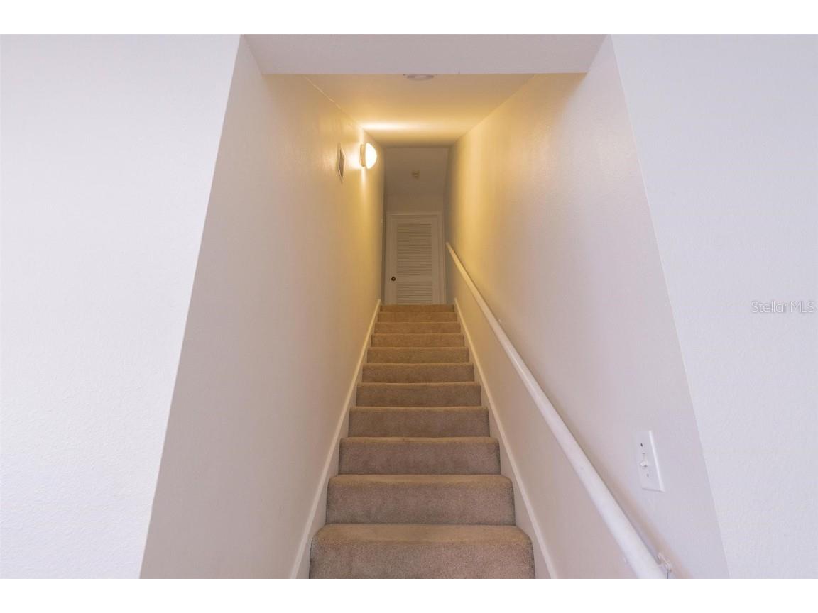 11738 Raintree Drive Temple Terrace FL 33617 TB8430140 image14