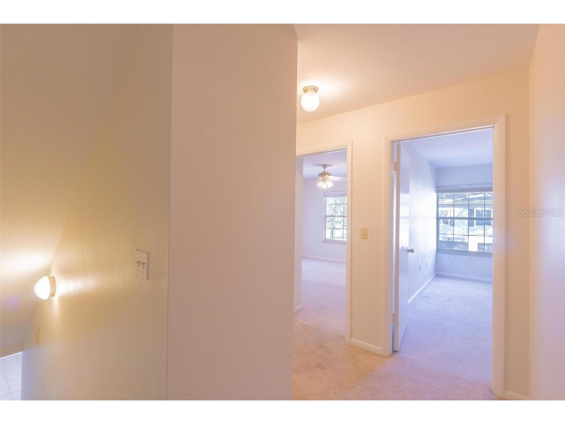 11738 Raintree Drive Temple Terrace FL 33617 TB8430140 image15