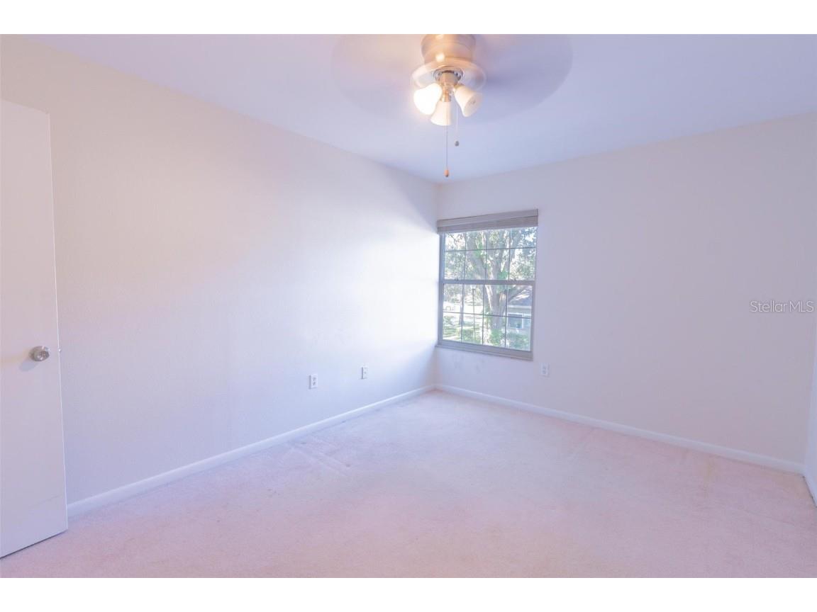 11738 Raintree Drive Temple Terrace FL 33617 TB8430140 image20