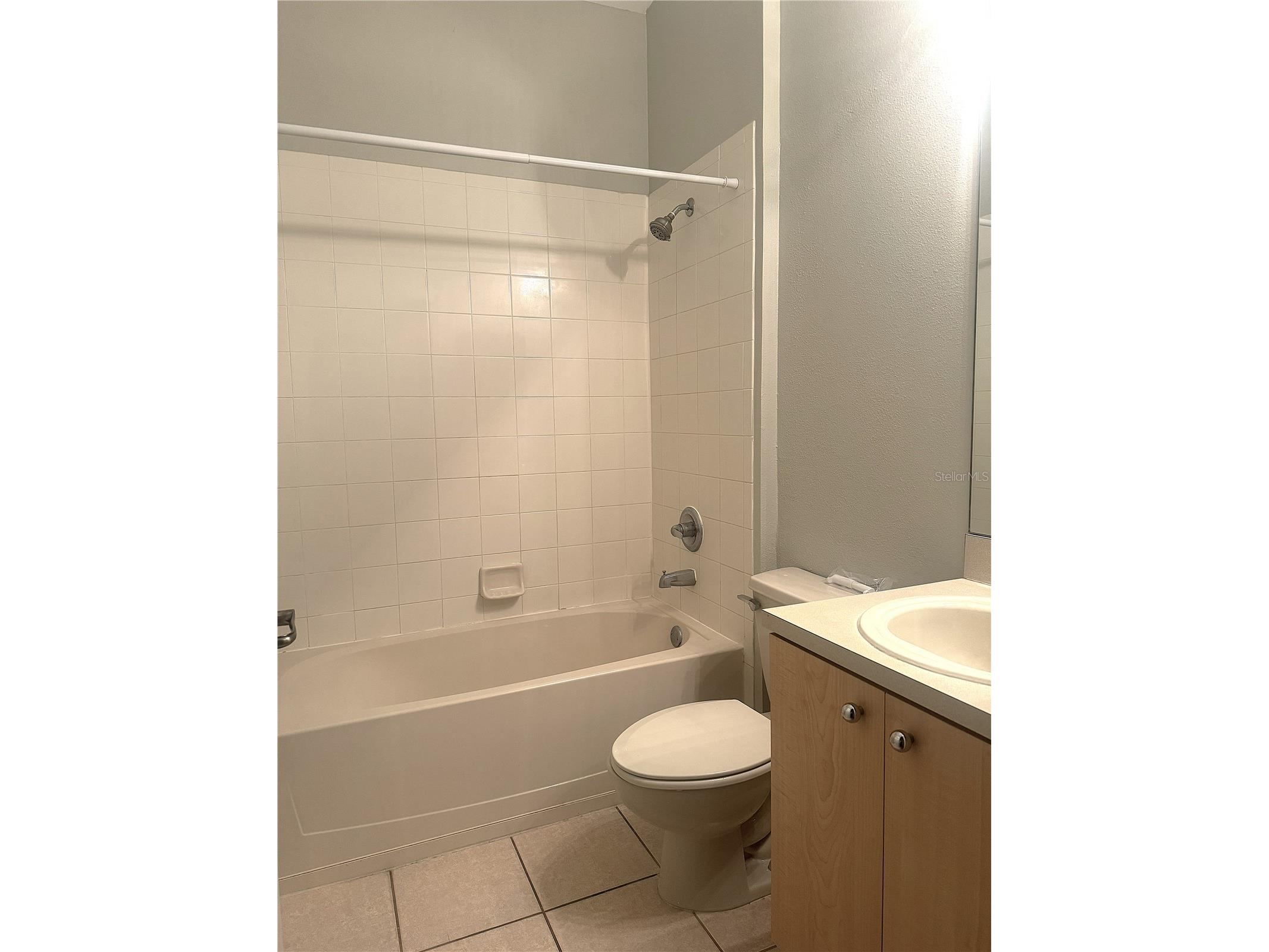 11739 Holly Creek Drive Riverview FL 33569 TB8486406 image19