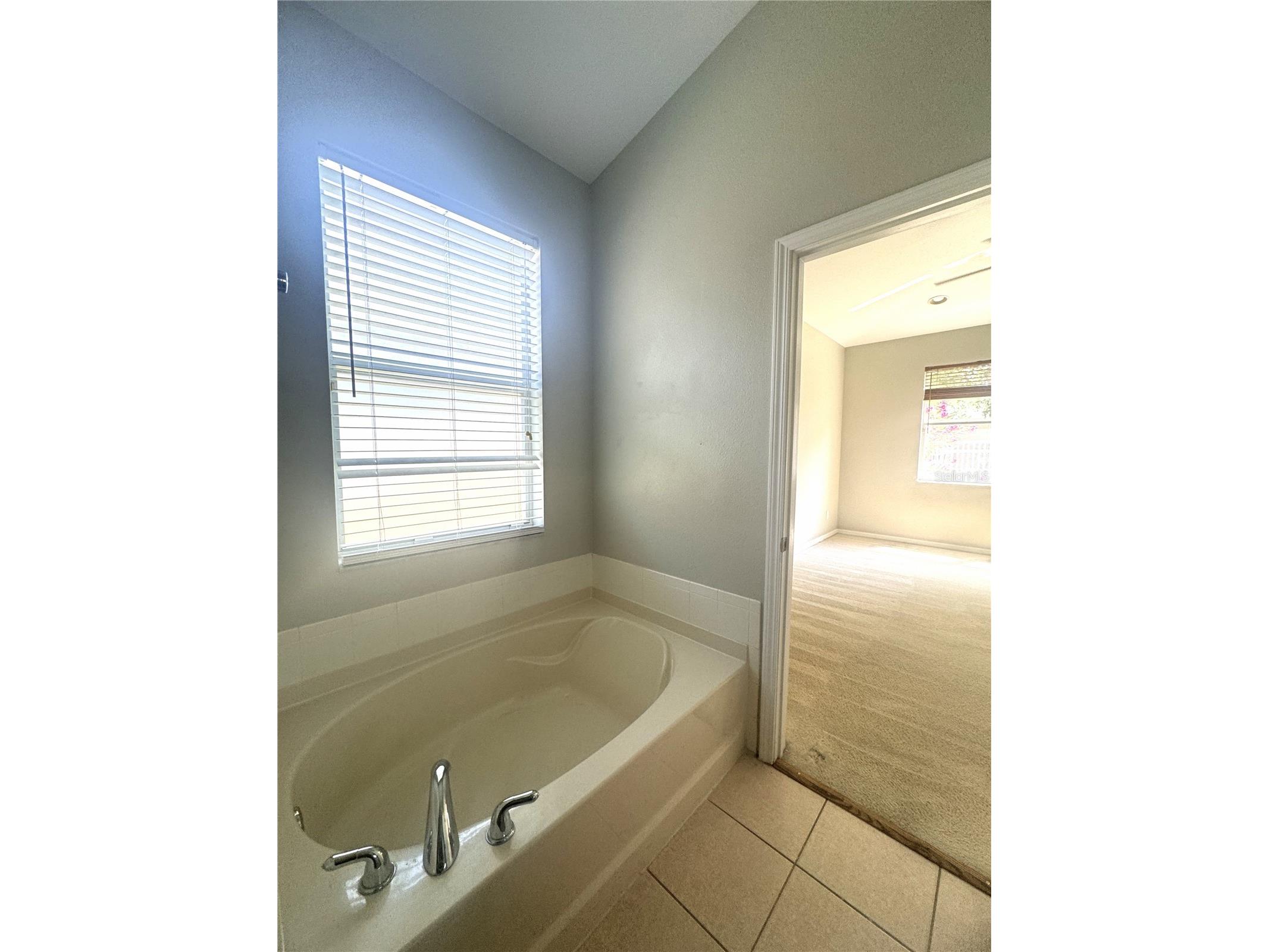 11739 Holly Creek Drive Riverview FL 33569 TB8486406 image27