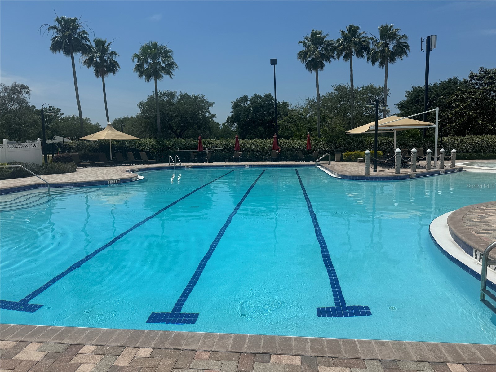 11739 Holly Creek Drive Riverview FL 33569 TB8486406 image41