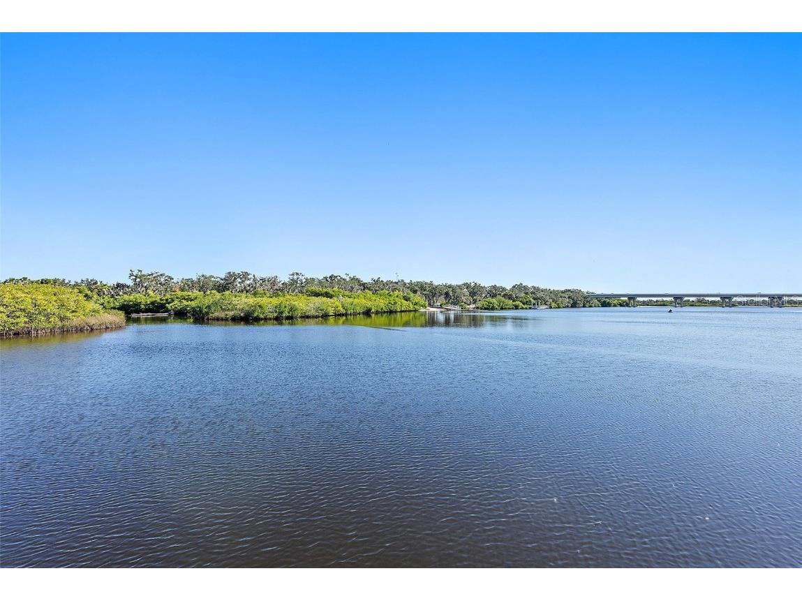 11739 River Shores Trail Parrish FL 34219 - MANATEE RIVER TB8448222 image50
