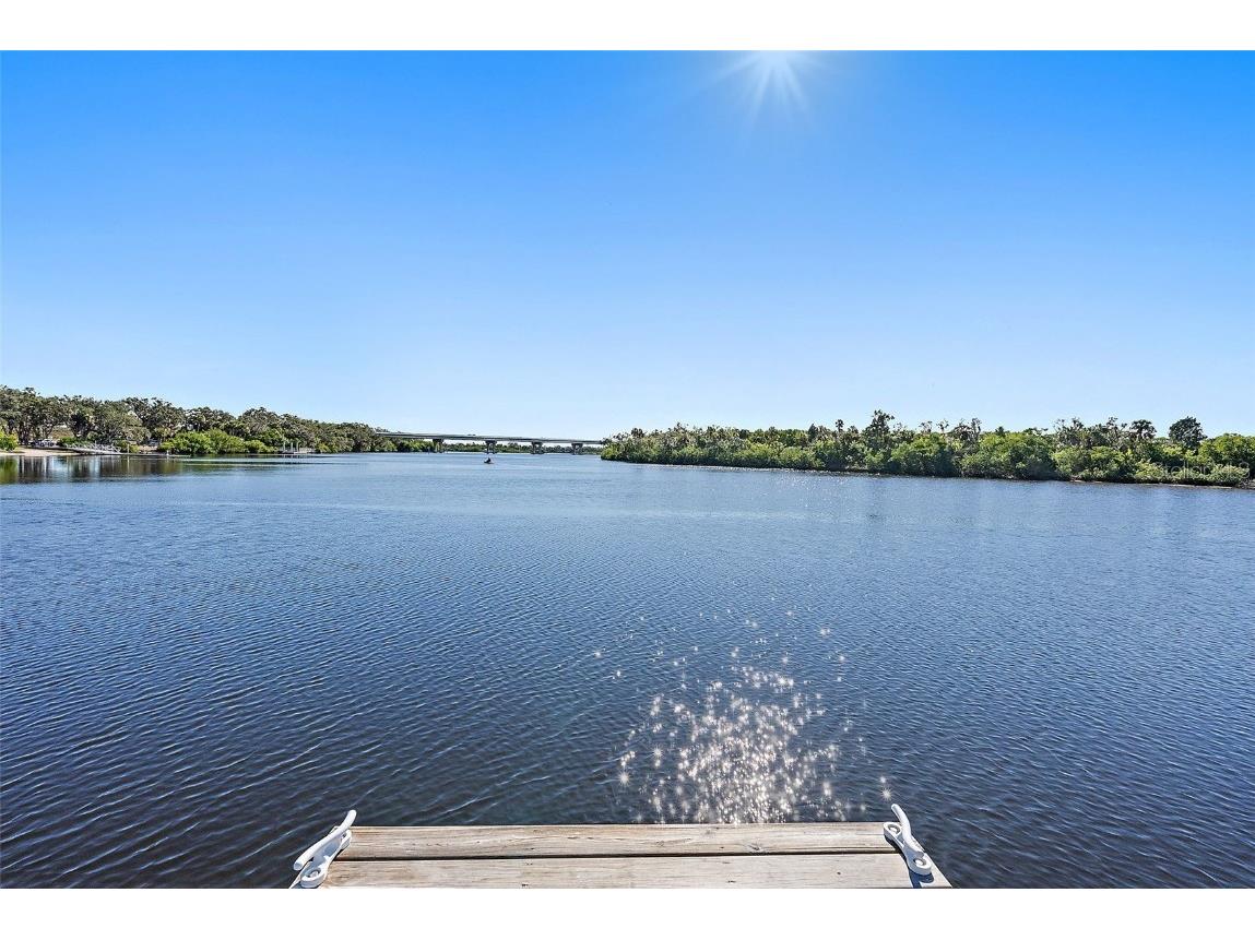 11739 River Shores Trail Parrish FL 34219 - MANATEE RIVER TB8448222 image65