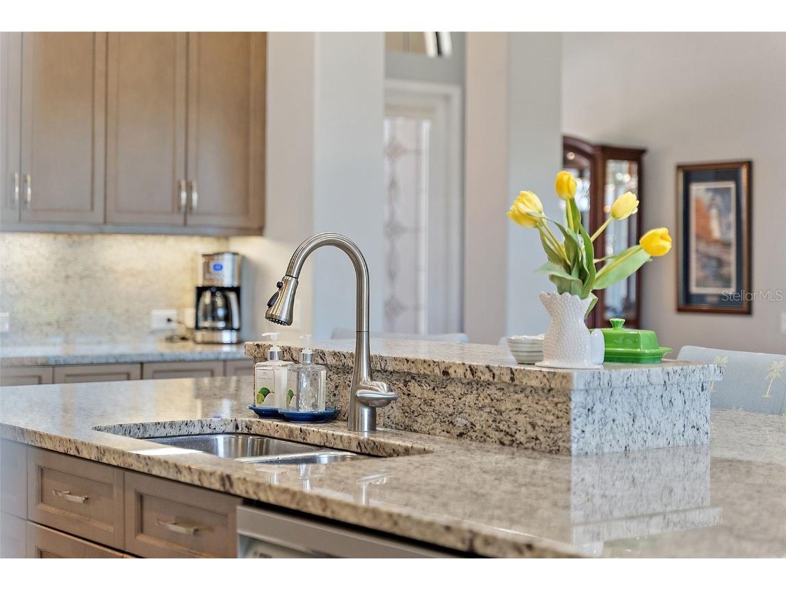 11739 River Shores Trail Parrish FL 34219 - MANATEE RIVER TB8448222 image8