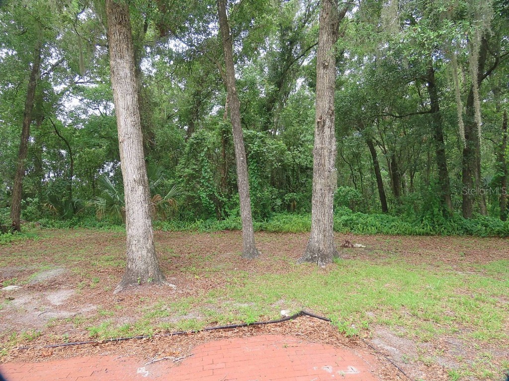 1174 Fern Lane Deland FL 32724 O6358253 image23