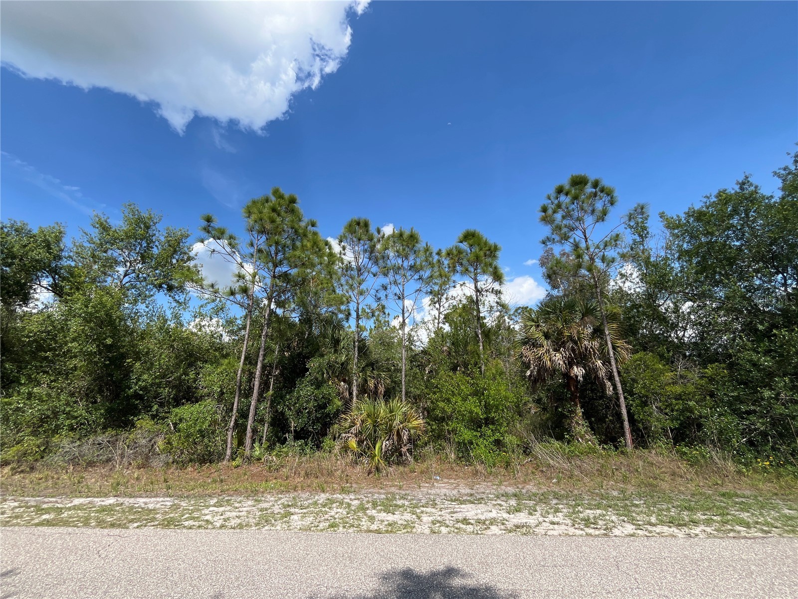 1174 Shetland Street Punta Gorda FL 33980 TB8516451 image1