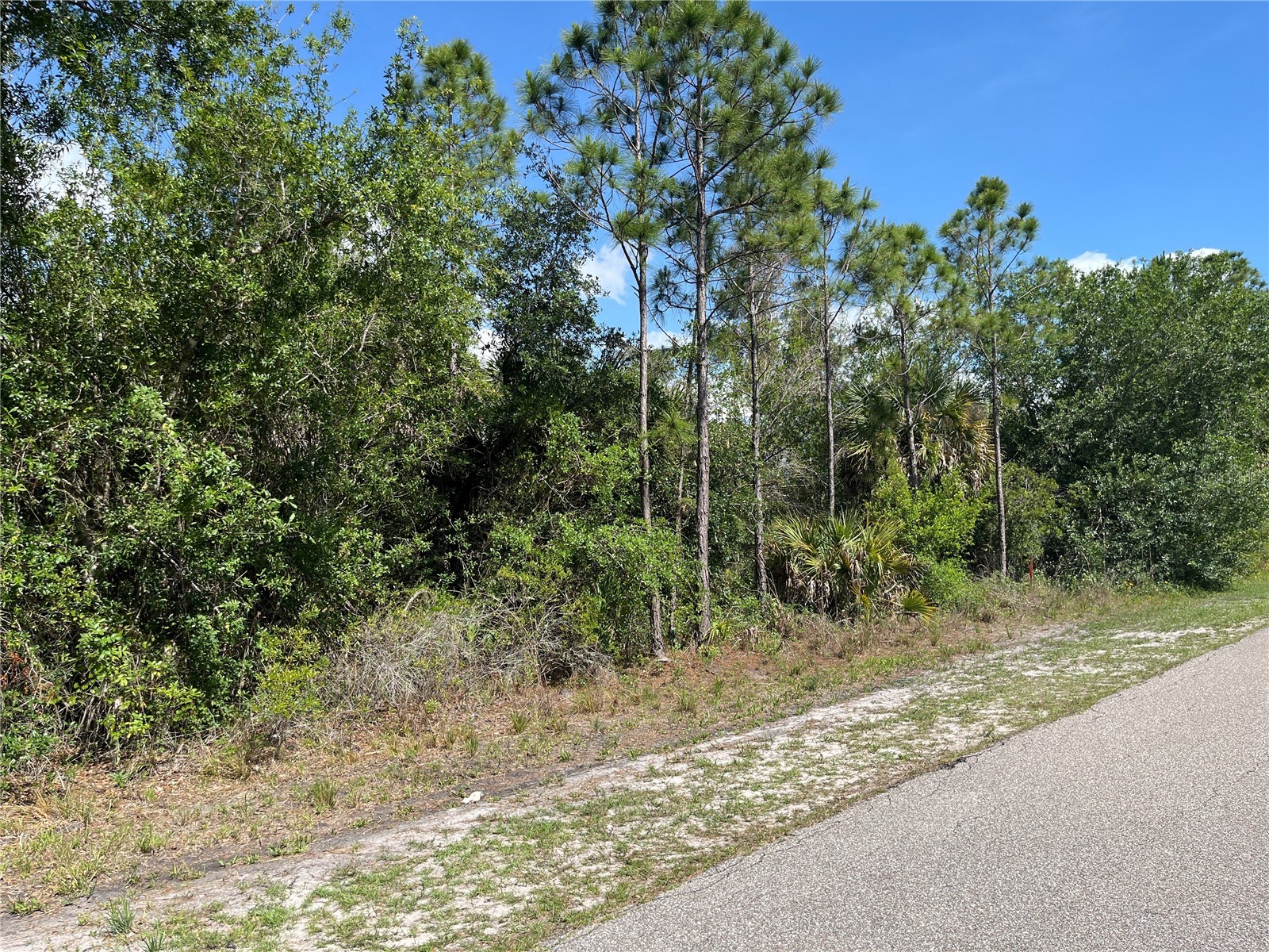 1174 Shetland Street Punta Gorda FL 33980 TB8516451 image2