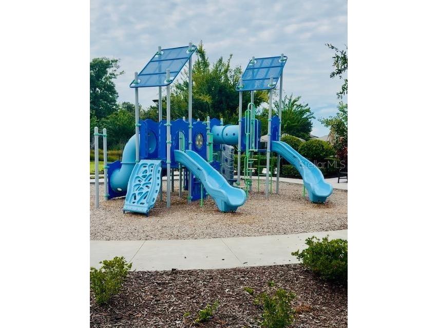 1174 Wildmeadow Run Winter Park FL 32792 - LAKE HOWELL O6341520 image37