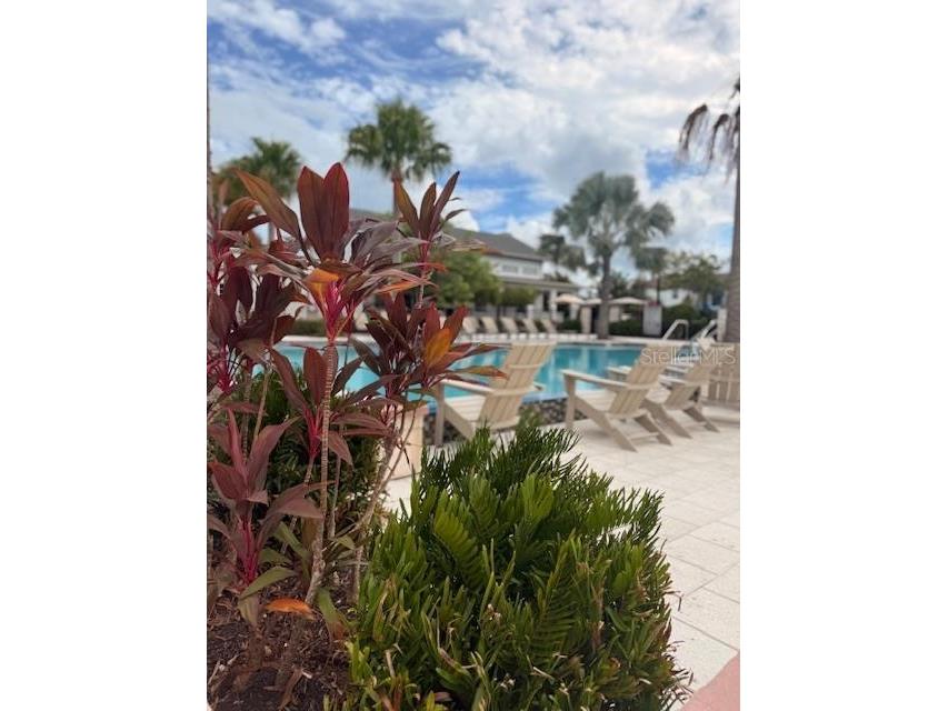 1174 Wildmeadow Run Winter Park FL 32792 - LAKE HOWELL O6341520 image39